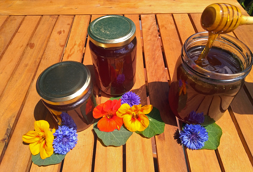 Woran Erkennt Man Guten Honig Wie kann ich guten Honig erkennen? >> Blog Bienenhof auf der Höhe